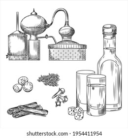 Set Ouzo Greek alcohol on white background. Glass, bottle, cinnamon, cloves, anise, nutmeg, alembic. Engraving vintage style black outline vector illustration.