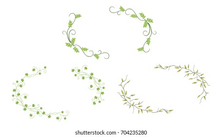 Set of Oval Green Leaves Frame Isolated, Wreath for Design Use