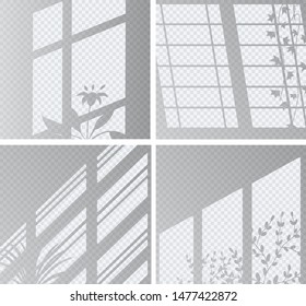 Set the overlay shadow effects. Shadow and light from the window and plants. Reflection of light on the wall. Transparent shades for your design. Vector illustration.