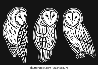 Set Owl Bird Animal Hand Drawn for tattoo and t-shirt art illustration
