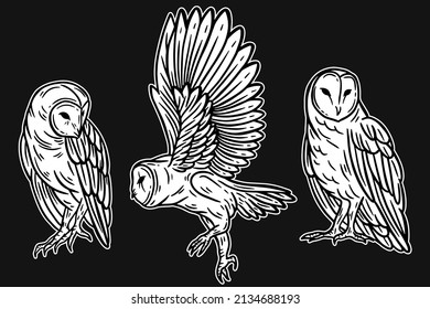 Set Owl Bird Animal Hand Drawn for tattoo and t-shirt art illustration