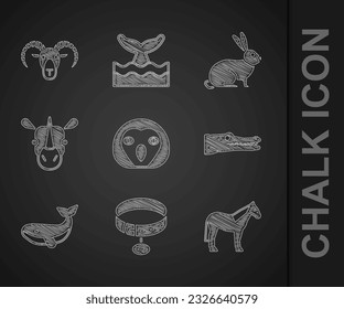 Set Owl bird, Collar with name tag, Horse, Crocodile, Whale, Rhinoceros, Rabbit and Head of goat ram icon. Vector