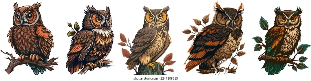 set of Owl bird mascot design - Owl vector design