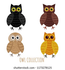 Set of owl collection