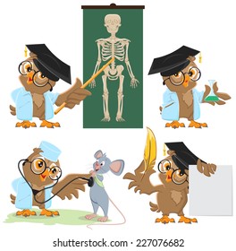 Set Owl doctor and mouse. Vector cartoon illustration