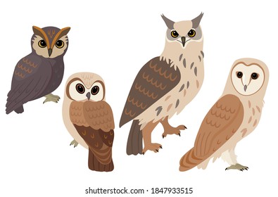 Set of owl isolated on white background. Vector illustration. Can be used for banner, poster, card and for printing.