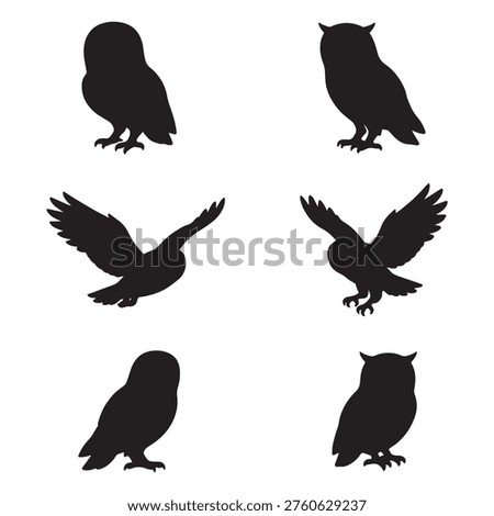 Set of owl silhouette designs