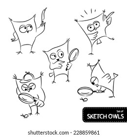 Set of owl sketch