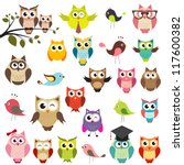set of owls