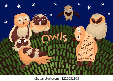 Set of owls, characters on a card, the nature at night