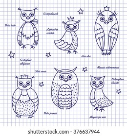 The set of owls drawn with pen on notebook sheet. Names of owls, written in Latin.