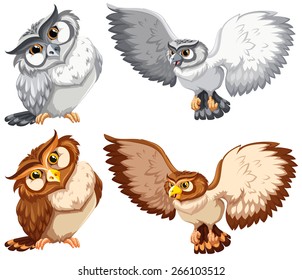 Set of owls in grey and brown color