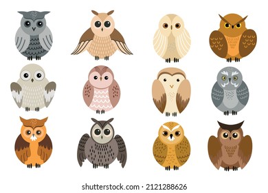 the set of owls. illustrations of owl for stationery