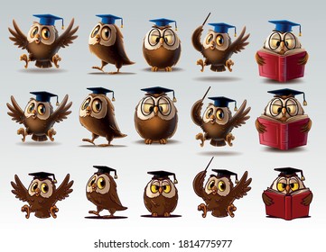 set of owls for school and diploma