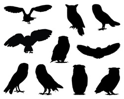 Set Of Owls Silhouette Bundle, Animal Icons, WildLife