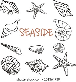Set of oyster doodle, vector illustration