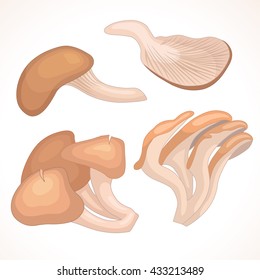 Set of oyster mushrooms isolated on background. Vector illustration in cartoon style. The whole and parts of mushrooms various forms