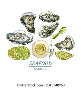 set of oysters, oil, sauce, thyme, lime, lemon, detailed natural drawing of fresh seafood