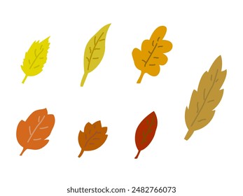 Conjunto (pack) de siete hojas de otoño dibujadas a mano (Formas de hojas), aisladas sobre fondo blanco (telón de fondo). Diferentes colores. Naturaleza. Medio ambiente. Ilustración vectorial.