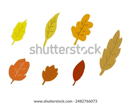 Set (pack) of seven hand drawn autumn leaves (leaf shapes), isolated on white background (backdrop). Different colors. Nature. Environment. Vector illustration.