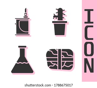 Set Package with cocaine, Electronic cigarette, Test tube and flask and Cactus peyote in pot icon. Vector