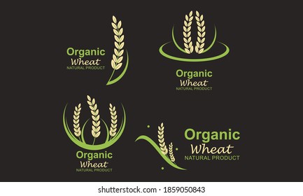 Set Of Paddy Wheat, Rice Organic Grain Products Food Banner Logo