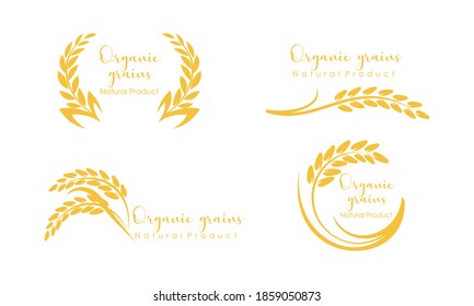 Set Of Paddy Wheat, Rice Organic Grain Products Food Banner Logo