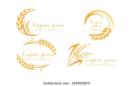 Set of Paddy wheat, rice organic grain products food banner logo