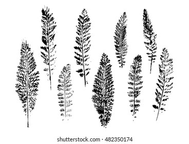 Set of paint prints of leaves