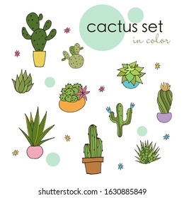 A set of painted cacti. Set of cacti in color. Vector illustration