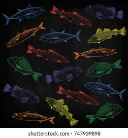 
A set of painted colored popular marine fish. Salmon, tuna, cod, mackerel, dorado, sea bass. Drawing chalk on a daughter, vector illustration