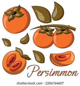 A set of painted exotic fruits - Persimmon. Draw illustration in color