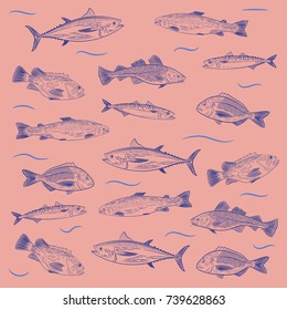 A set of painted popular fish on a pink background. Tuna, salmon, cod, sea bass, mackerel, Dorado. Sketch and hand drawing, vector illustration