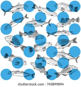 Set of painted popular sea fish. Salmon, tuna, cod, mackerel, dorado, sea bass. Sketch of drawing , vector illustration