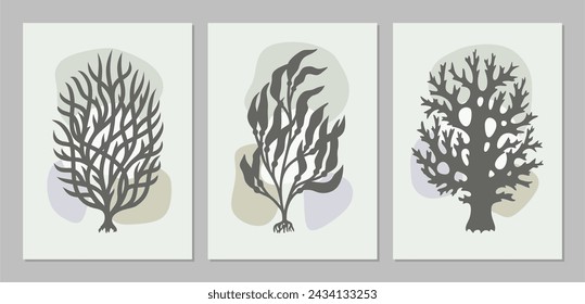 Set of paintings with plants. Three posters in the same style with leaves, trees, algae, bush. Calm pastel colors - gray, beige, brown. Art design for interior decoration, cover, walls, prints. Vector