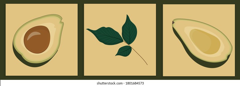 A set of paintings of two halves of avocado and a tree branch with leaves. Vector illustration in a flat cartoon style. Avocado for interior decoration, can be used as a painting.