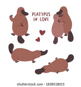 Set mit Paar von Platypus in der Liebe. Vektorgrafik-Tier einzeln auf weißem Hintergrund