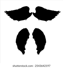 Set of pairs of hawk eagle angel wings feathers hand drawn illustration