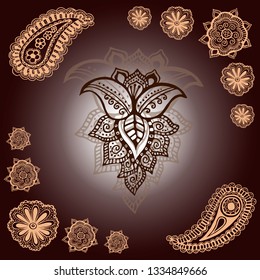 Set of paisley elements with flowers 
