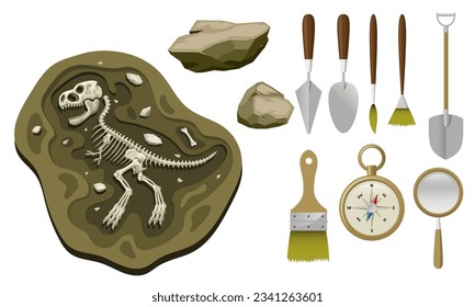 Juego de objetos de herramientas de paleontología Caricatura