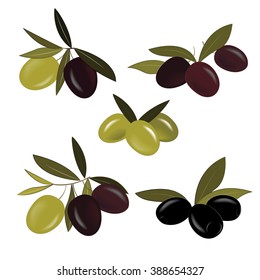 Set of palatable olives of different color and ripeness. Green, violet, and black olives with leaves.Fresh olives and marinated olives without stones. Elements for your design. White background