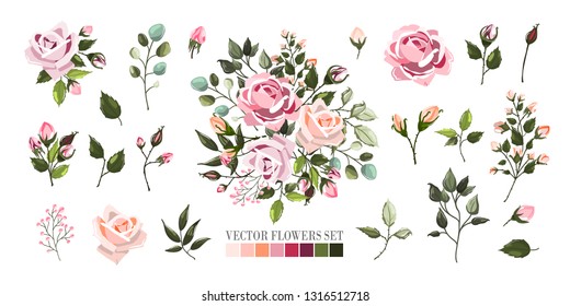 Set of pale pink rose flowers and green leaves. Floral bouquets, branch, arrangements for wedding invitation save the date or greeting card design. Vector illustration in watercolor style