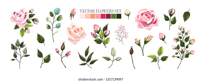 Set of pale pink rose flowers and green leaves. Floral bouquets, branch, arrangements for wedding invitation save the date or greeting card design. Vector illustration in watercolor style