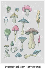 A set of pale toadstools on a grey background