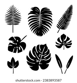 Set of palm and banana leaves silhouettes isolated on white background. Vector EPS10