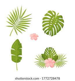 Set of palm, banana and monstera leaves and exotic flowers. Vector graphics of green jungle and tropics. Vector illustration