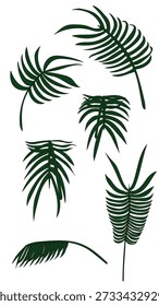 Set of Palm Fronds or Pinnate Leaf in Any Kind of Position and POV