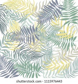 Set of palm,  jungle , tropical,   leaves background. Vector floral, botanical and foliage illustration. Pattern for print. 