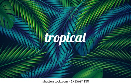 Set of palm leaf and exotic plants. Copy space vector graphics of green jungle and tropics. Symbolizes travel in good weather in the summer.