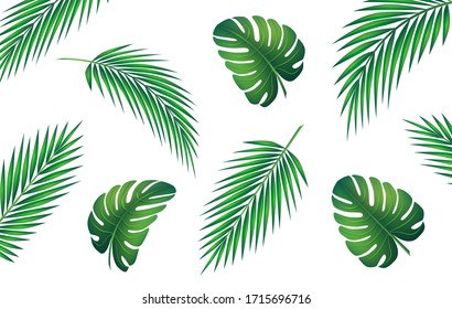 Set of palm leaf and exotic plants. Vector graphics of green jungle and tropics. Symbolizes travel in good weather in the summer.